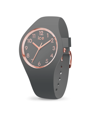 Ice Watch - Montre Silicone Gris & Rose Small des créatures d'habitude